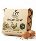 🥚 Organic Farm Eggs | Desi Eggs