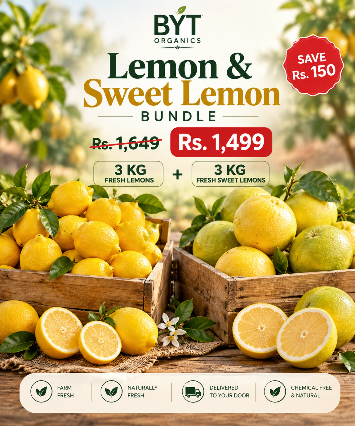 🍋 Lemon & Sweet Lemon Bundle